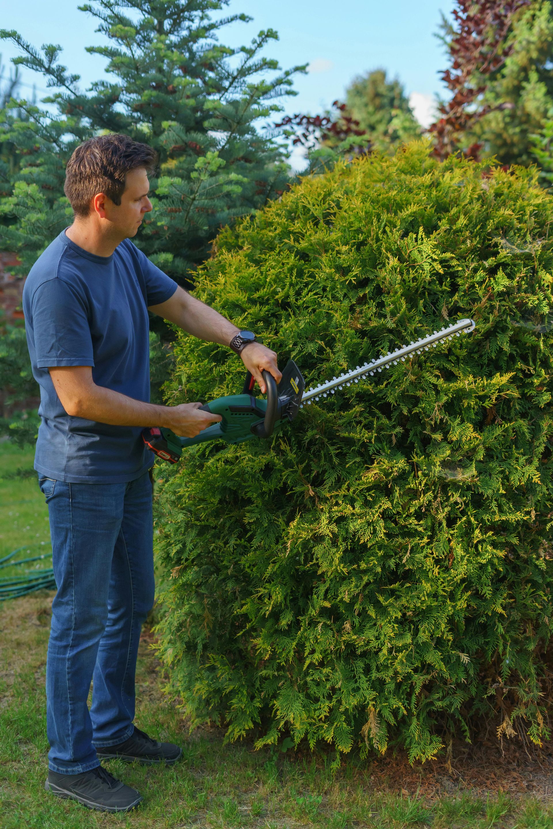 Taille de haie — paysagiste à Cabriès
